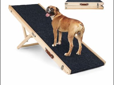 Foldable dog ramp