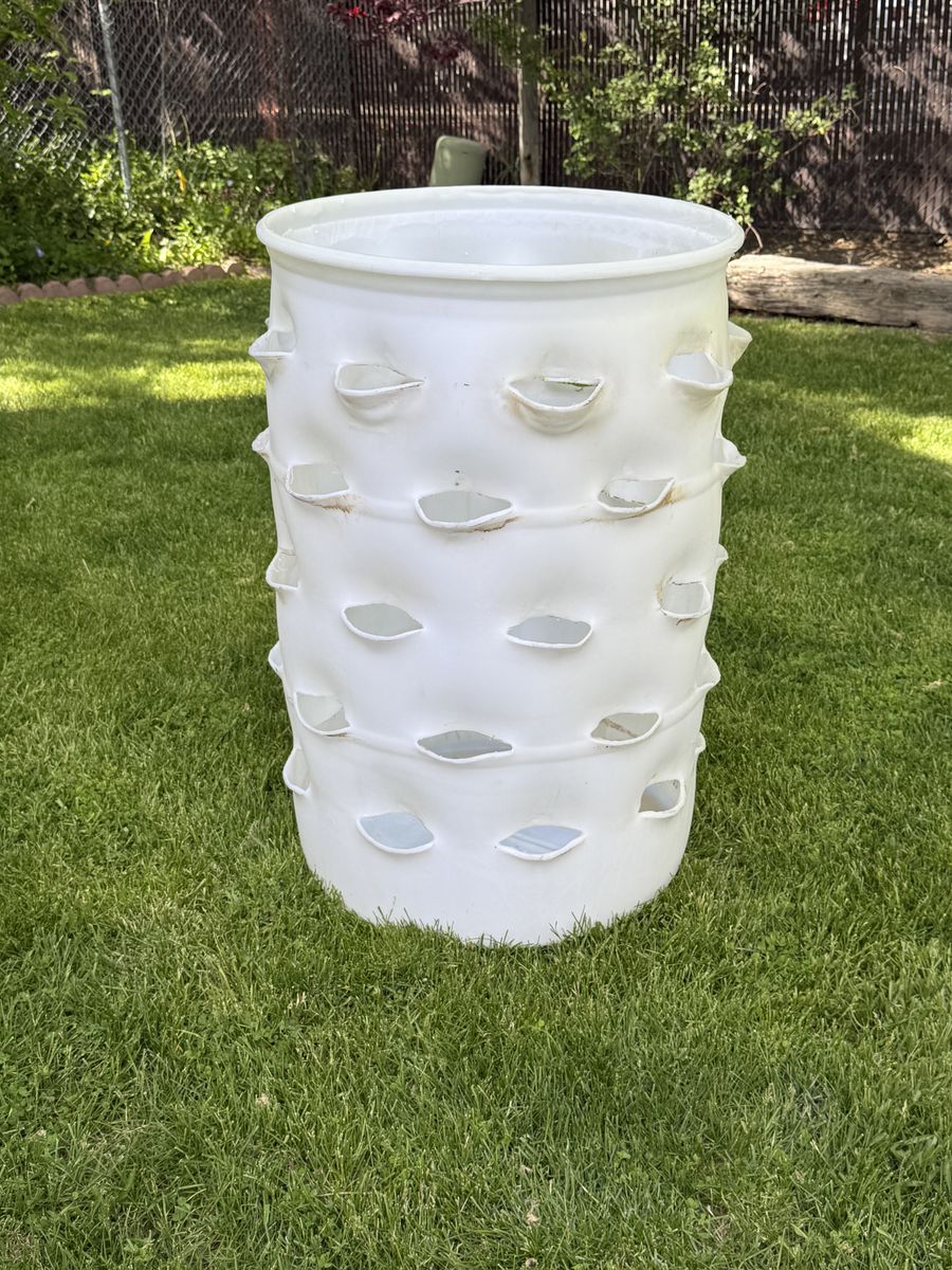 Garden strawberry drum