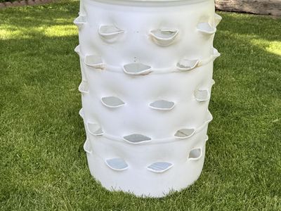 Garden strawberry drum