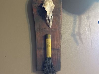 Turkey skull with beard.