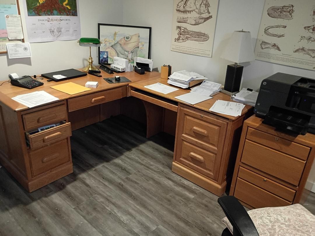 DESK AND FILE CABINET