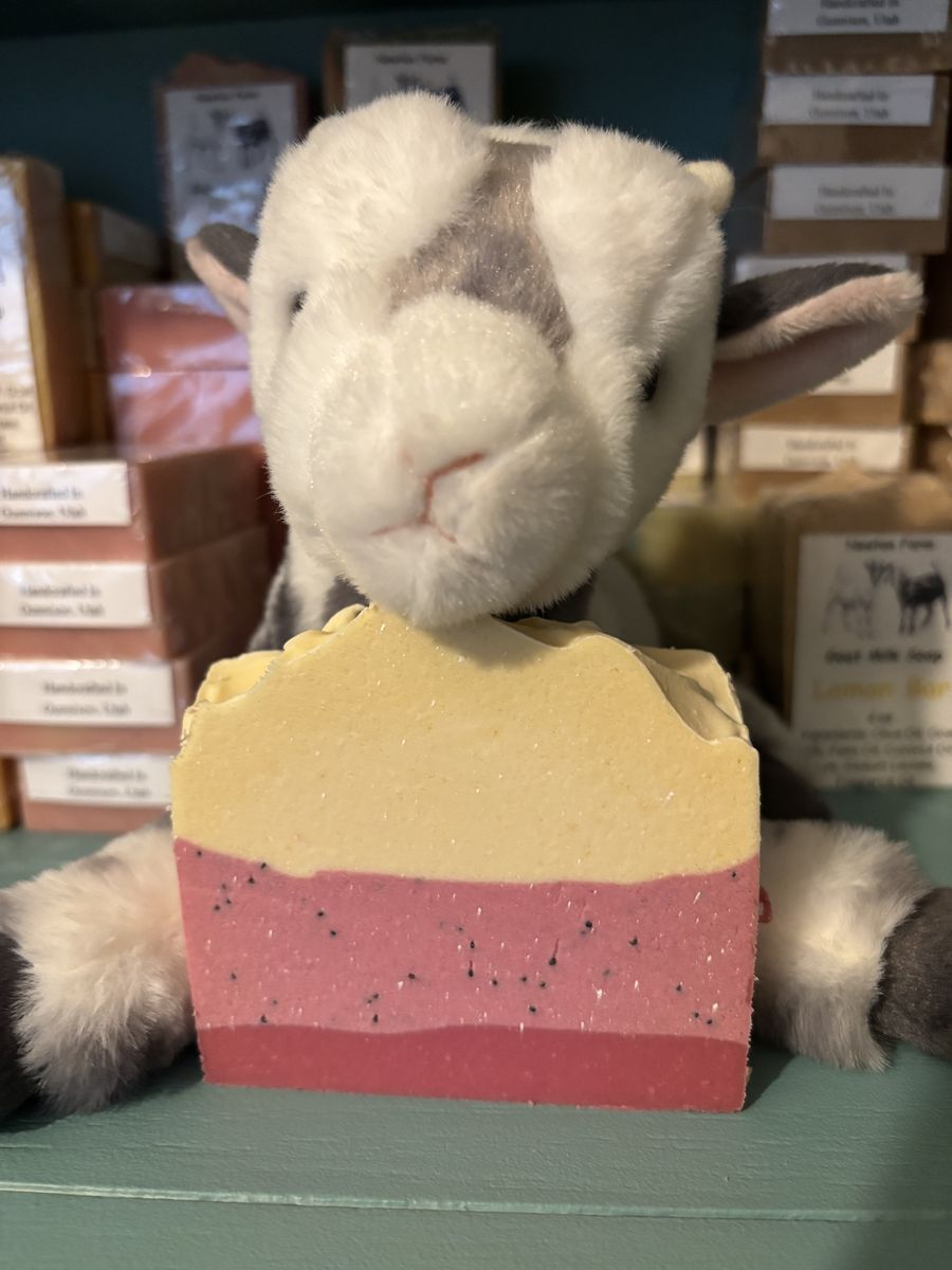 Goat Milk Soap, shampoo bars and lip balm