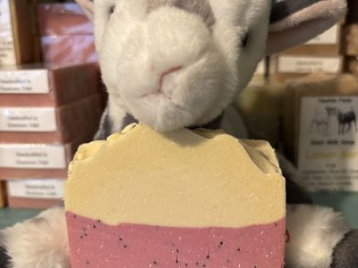 Goat Milk Soap, shampoo bars and lip balm