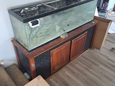 Free Old XL Fishtank