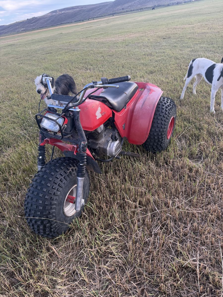 1984 Honda ATC200S 