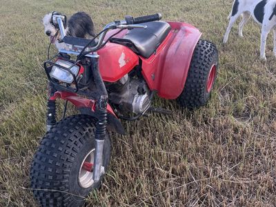 1984 Honda ATC200S