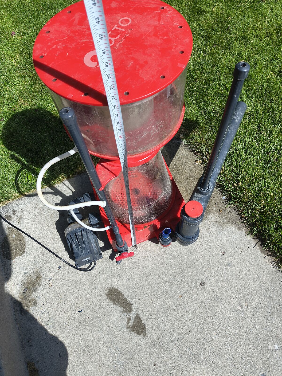 Huge Protein Skimmer