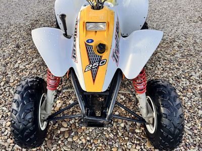 2000 Polaris Trailblazer 250