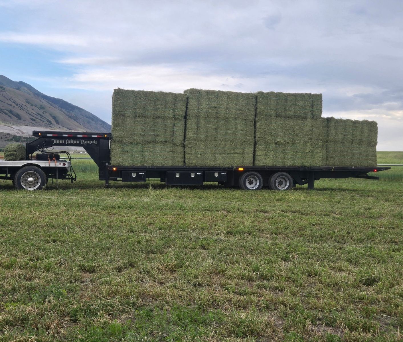 Beautiful 21 bale bundles Alfalfa small bales (Delivery available) 65 pounds per bale avg