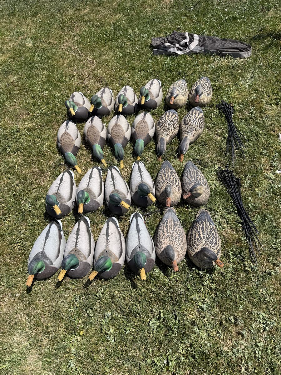 2 dozen GHG Mallard Shell Decoys