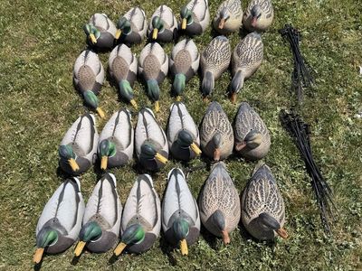 2 dozen GHG Mallard Shell Decoys
