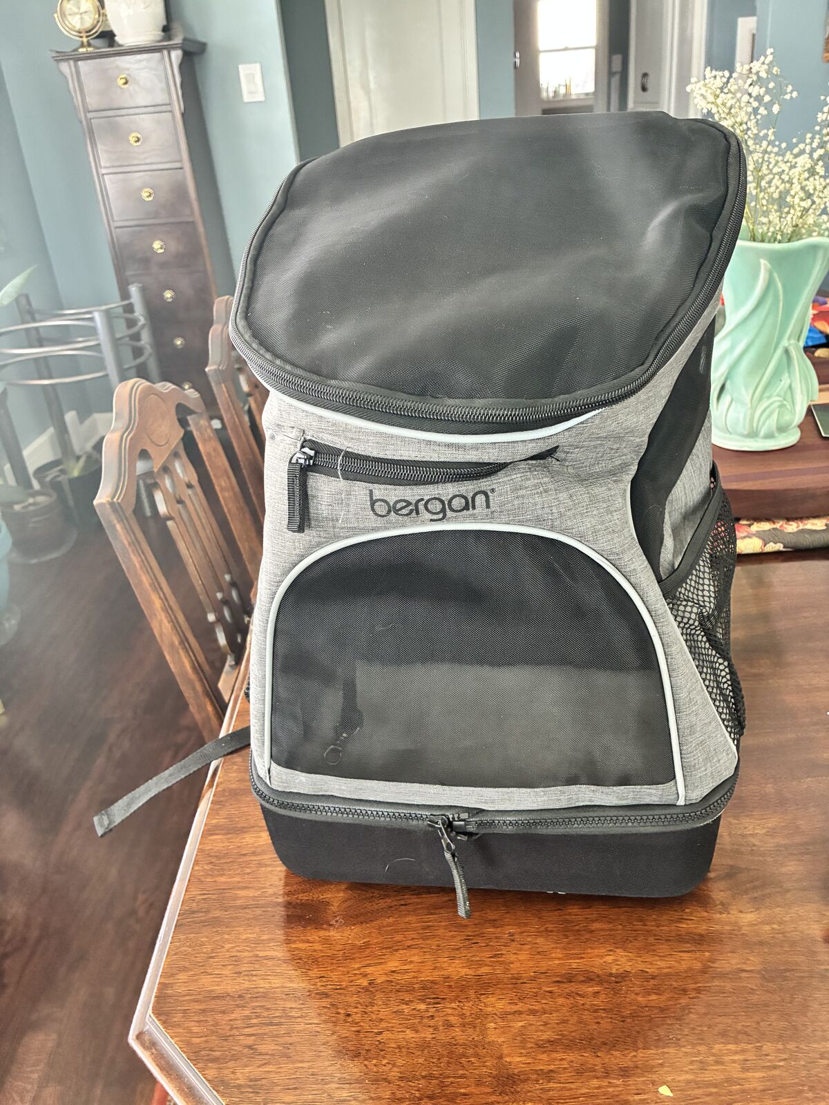 Airline approved Bergan Dog/Cat Backpack Carrier