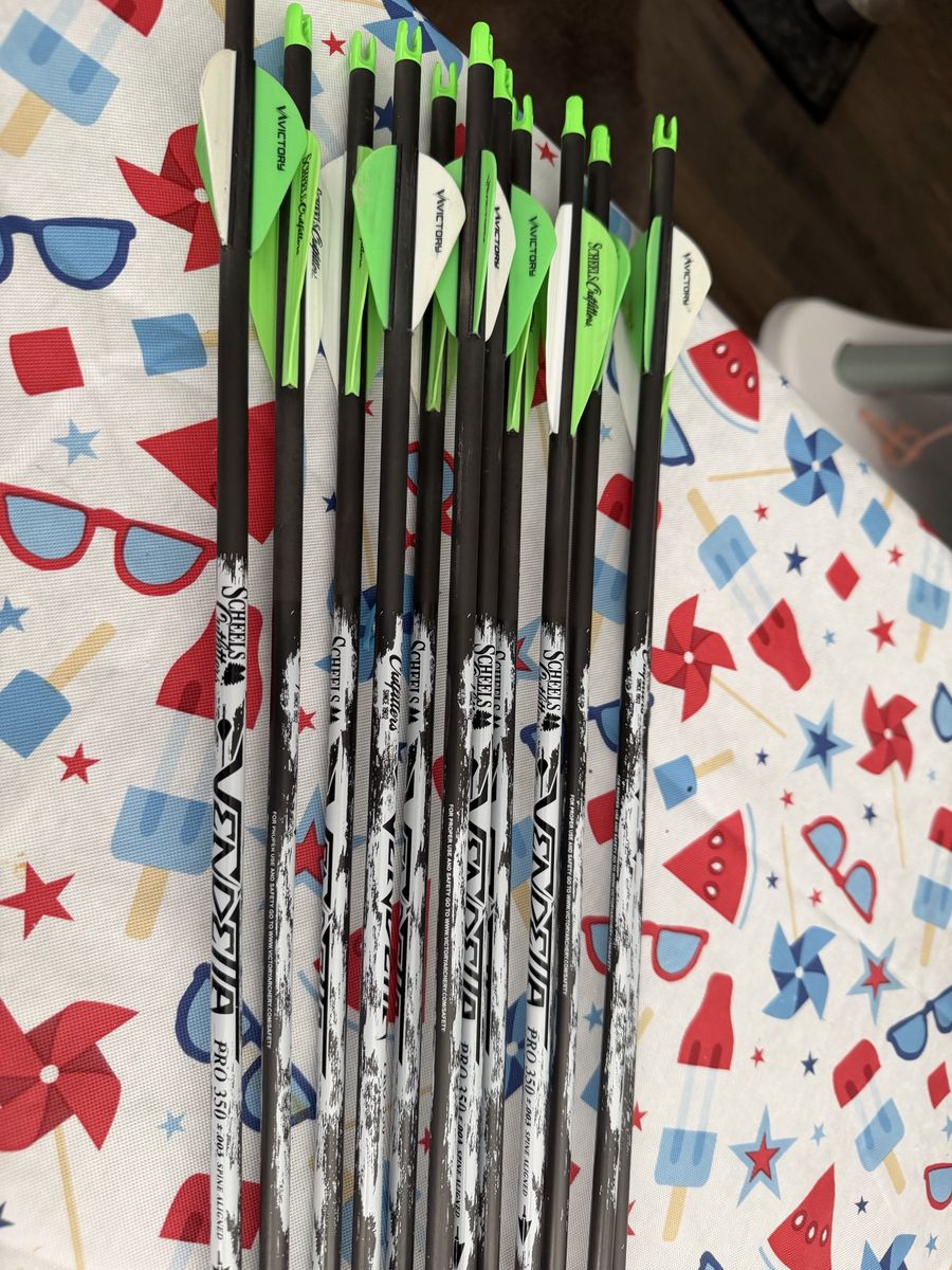 12 Scheels vendetta Carbon arrows