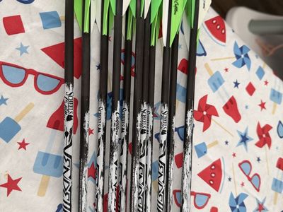 12 Scheels vendetta Carbon arrows