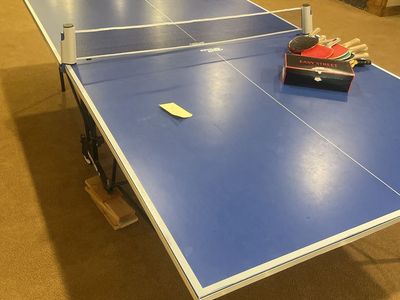 Ping pong table