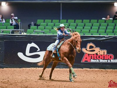 AQHA 19 Year Old Gelding *Will do Trades*