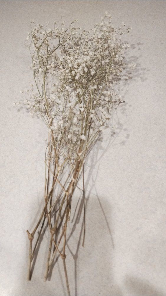 Dried Baby's Breath Flowers Bouquet