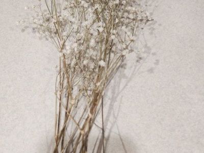 Dried Baby's Breath Flowers Bouquet