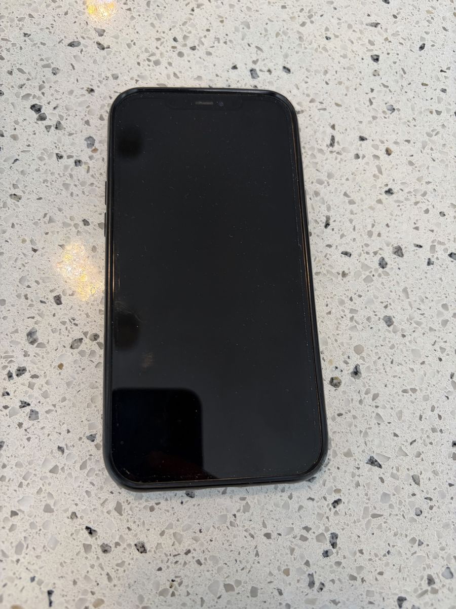 iPhone 12 Pro Max 256 GB