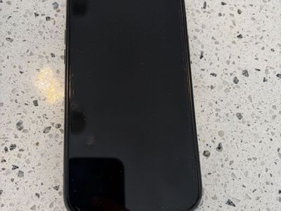 iPhone 12 Pro Max 256 GB