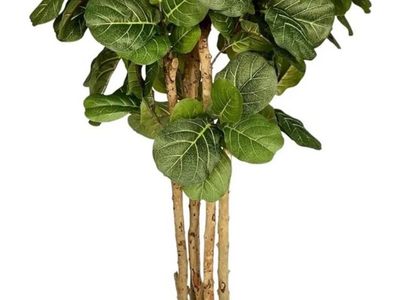 New. Beautiful Silk Tree