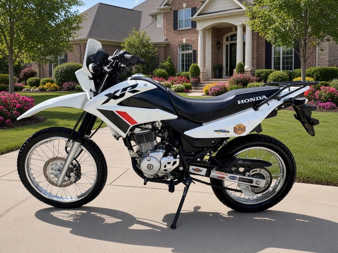 2024 Honda XR150L Dual-Sport Enduro XR 150L XR150 150 CRF tt-r WR