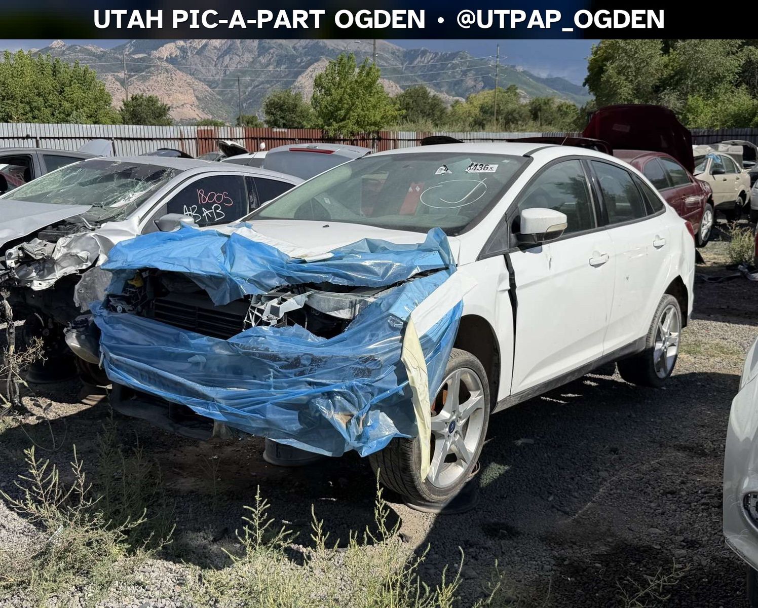 Just In! 2014 Ford Focus Parts - UTPAP Ogden