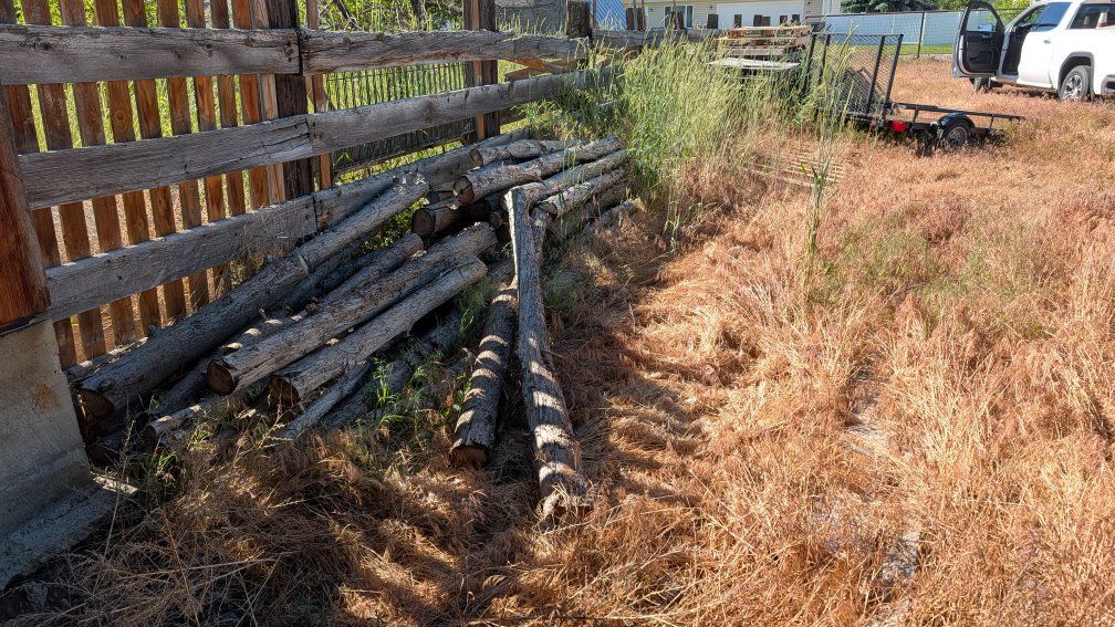 Firewood Logs - Untreated Hardwood for Burning or Crafting, Various Sizes