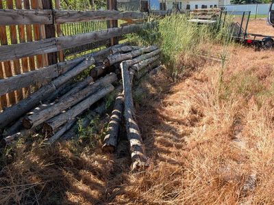 Firewood Logs - Untreated Hardwood for Burning or Crafting, Various Sizes