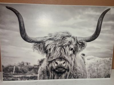 Black and White Highland Cow Wall Art Print