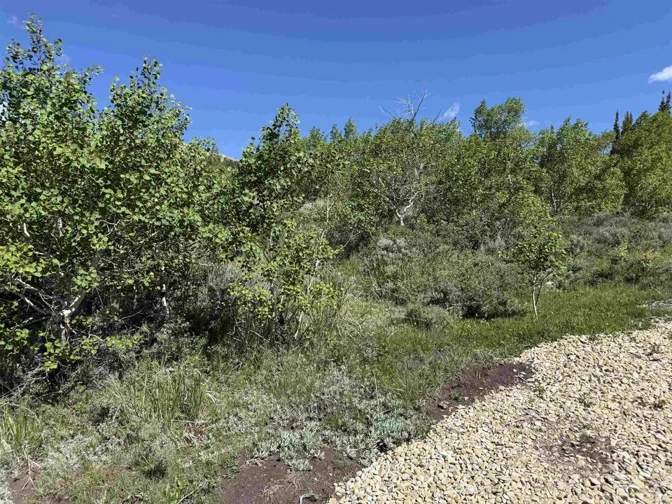 Main image 23