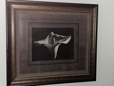 Calla Lilly photograph print (Very Large)