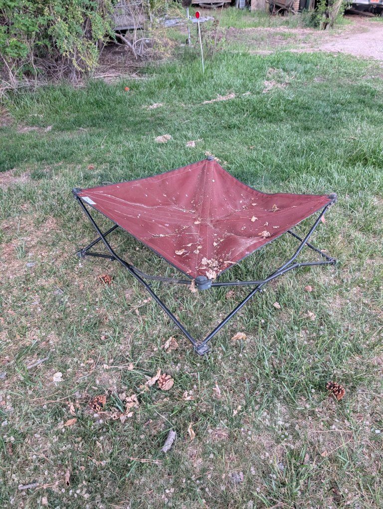 Coolaroo Foldable Elevated Dog Bed