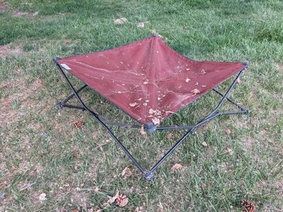Coolaroo Foldable Elevated Dog Bed