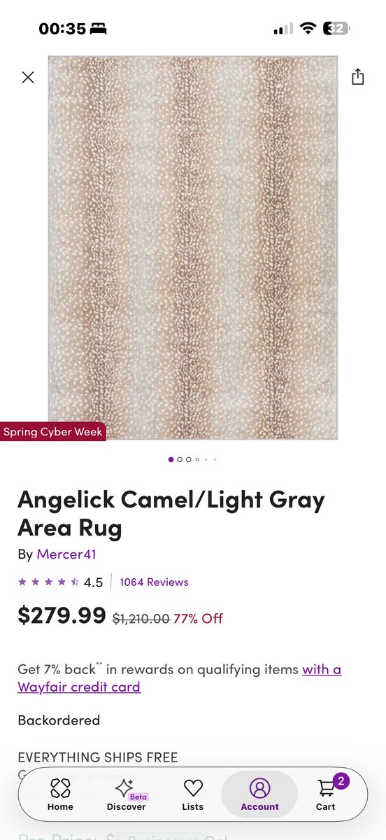 12 X 15 Area Rug Witch Cushion