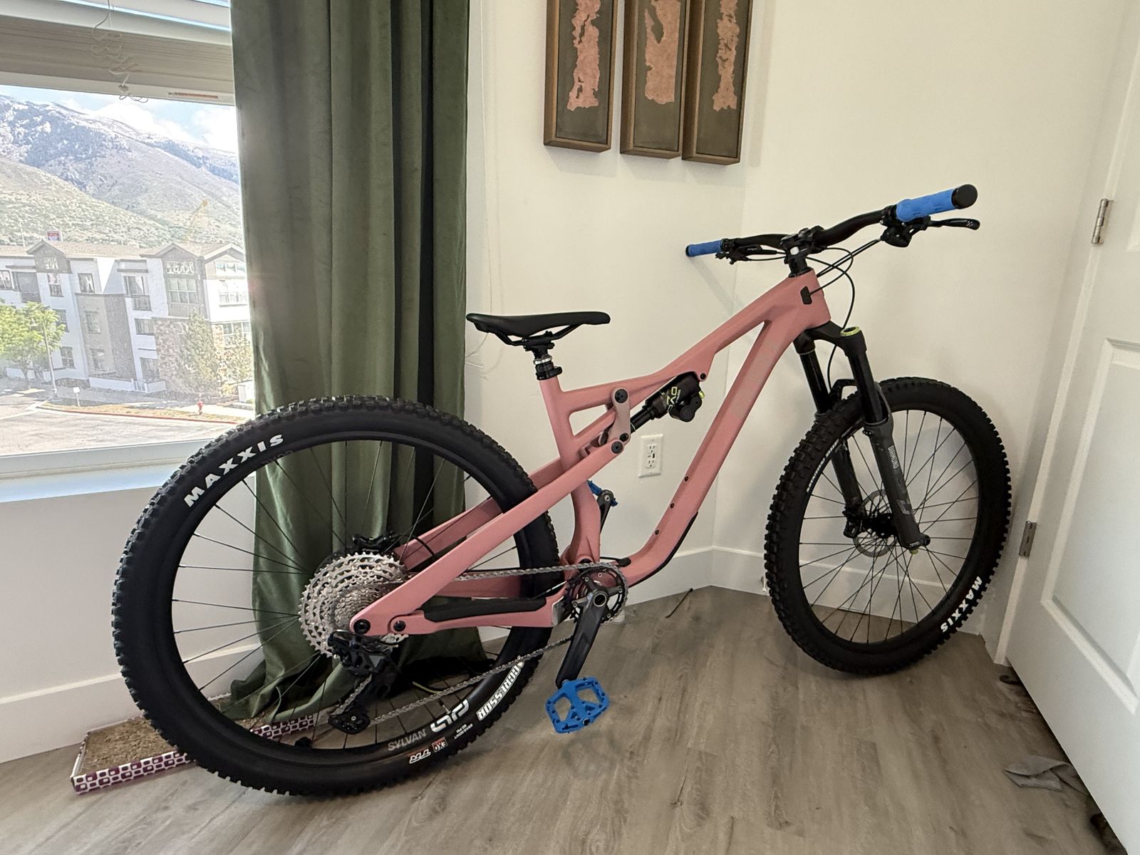 2025 Ari delano comp