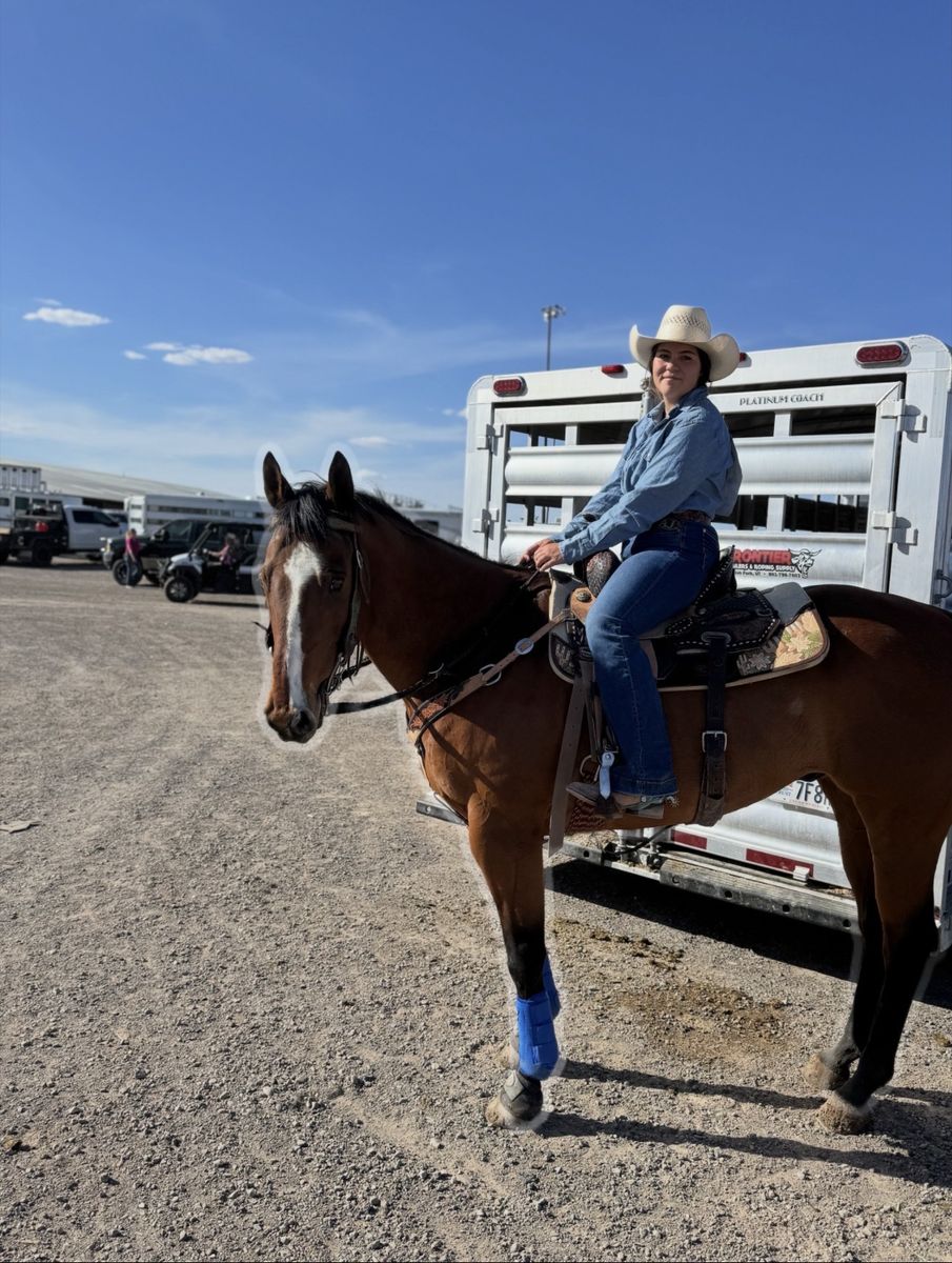 Big Running Finished Barrel & Head Horse