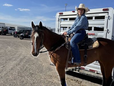 Big Running Finished Barrel & Head Horse