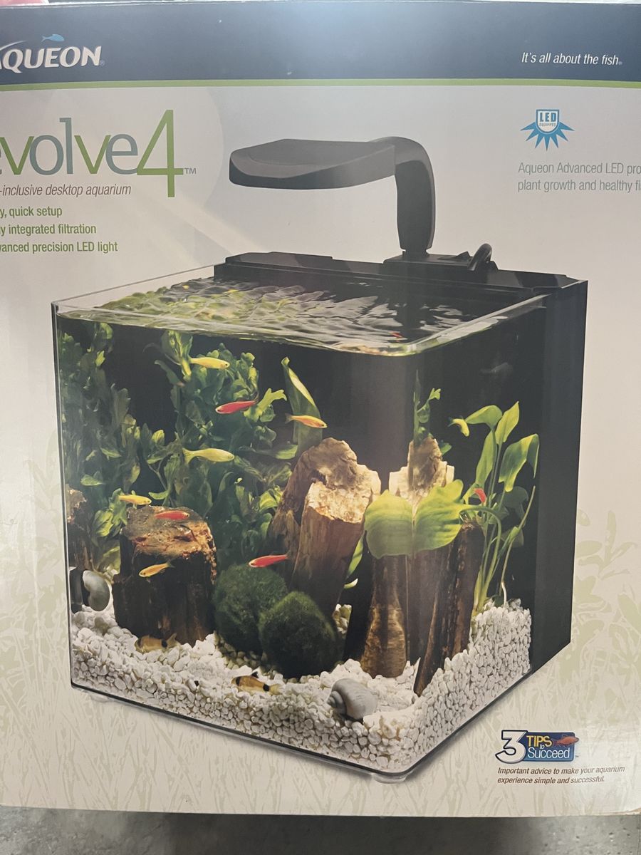 Small Aquarium
