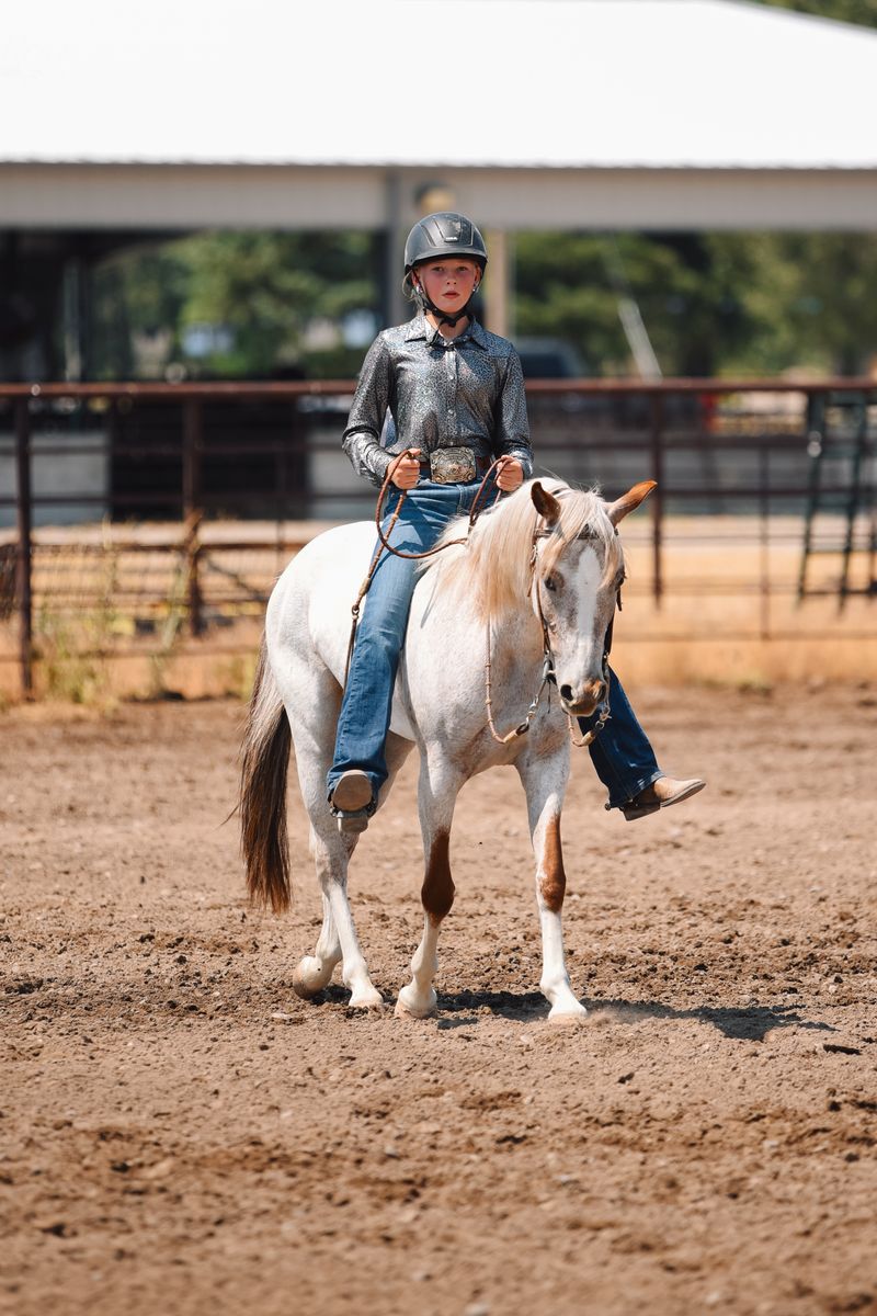 3 yr old POA filly