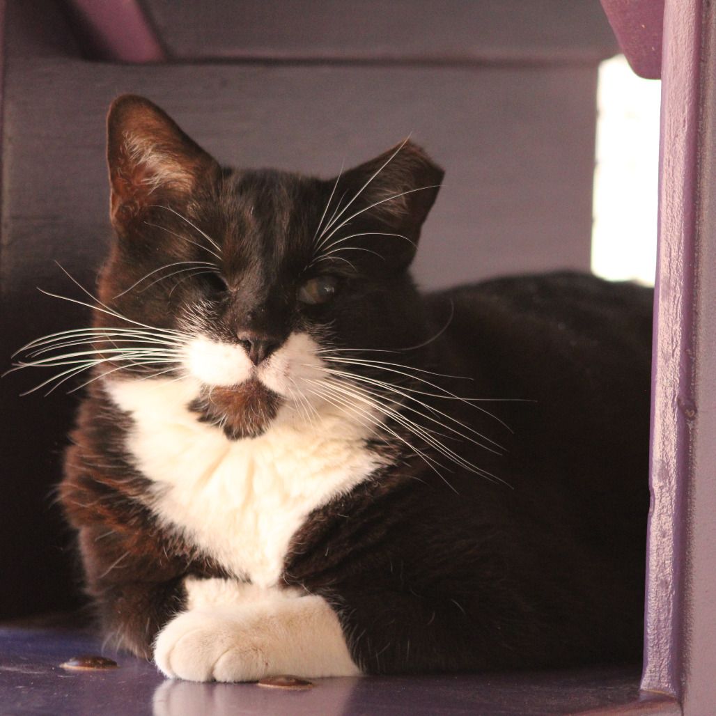 Hello my name is Trent