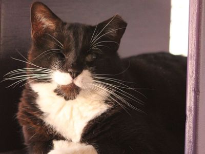 Hello my name is Trent