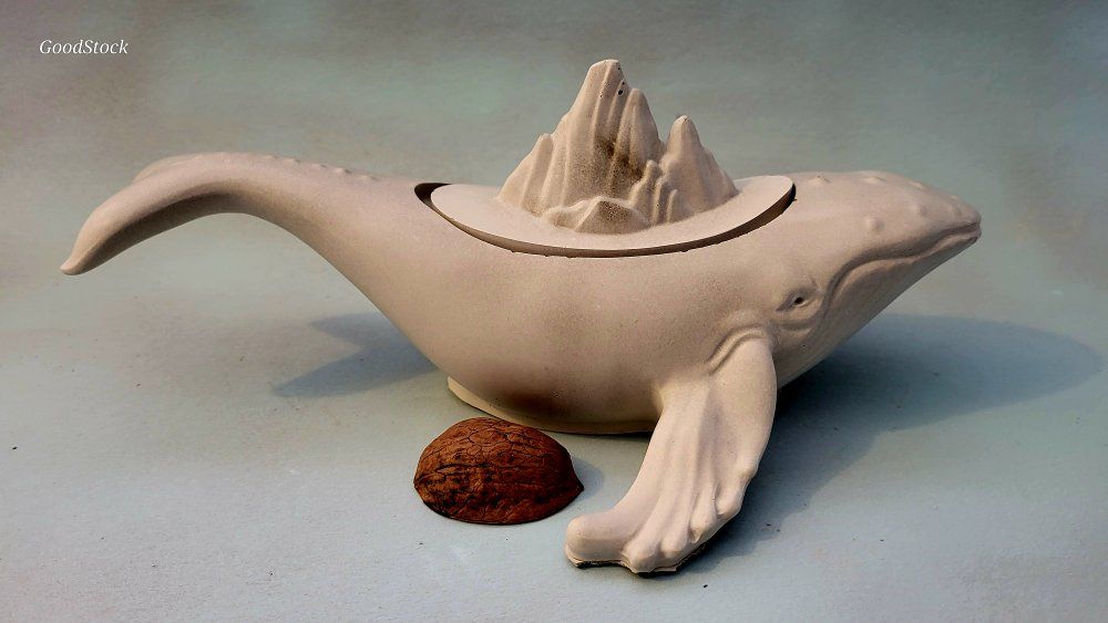 Whale (•̩̥̀‿•̩̥̀) Blue trinkt box plantr mountain