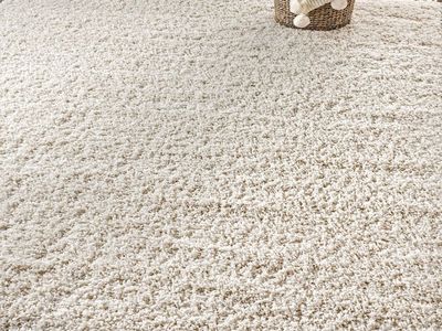 5ft x 7.5ft Mercer Shag Plush Tassel Indoor Area Rug, Cream