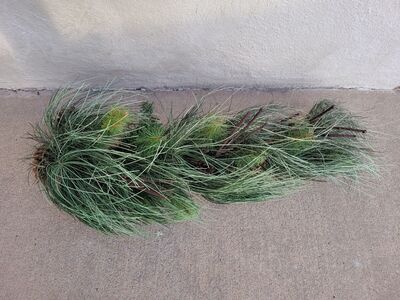 NEW 30 Inch Posable Wire Pine Greenery Swags w/Pinecones