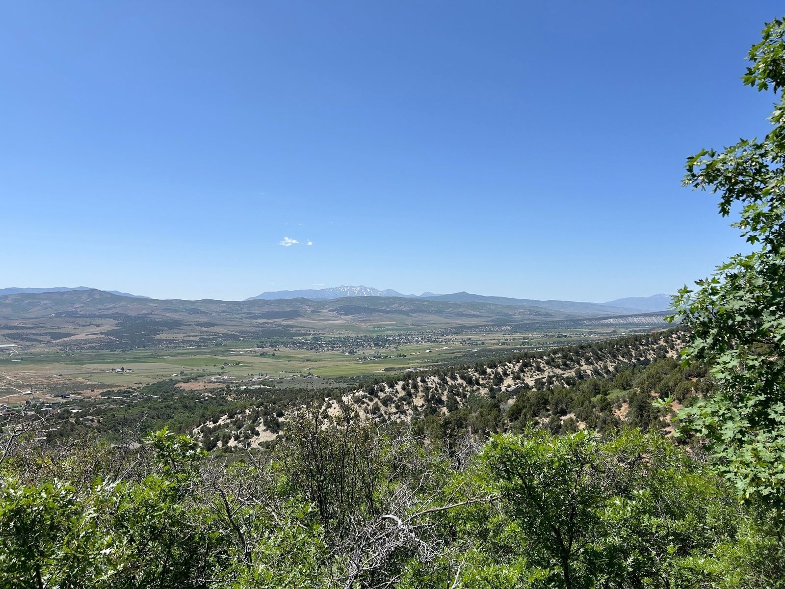 Main image 2