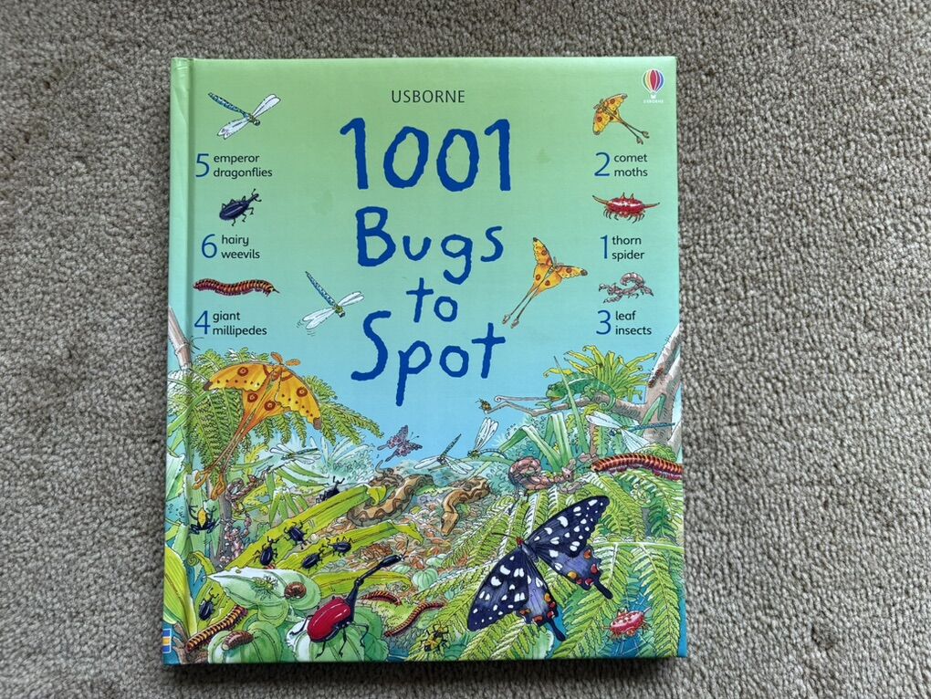 Usborne 1001 Bugs to Spot