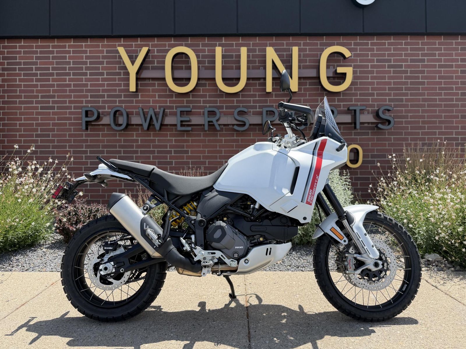 2026 Ducati DesertX