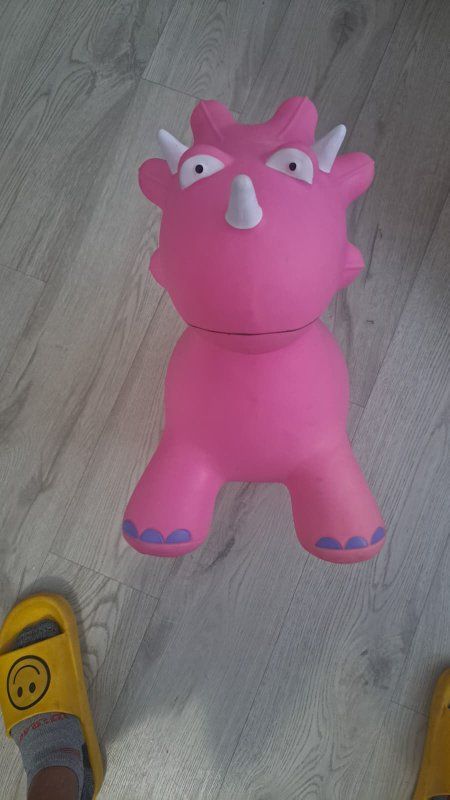 Inflatable Bouncer
