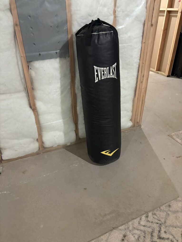 Everlast Punching Bag